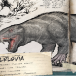 プルロヴィア360270