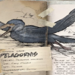 ARKペラゴルニス360270