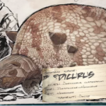 ARkドエディクルス360270