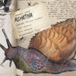 ARKアフリカマイマイ360270